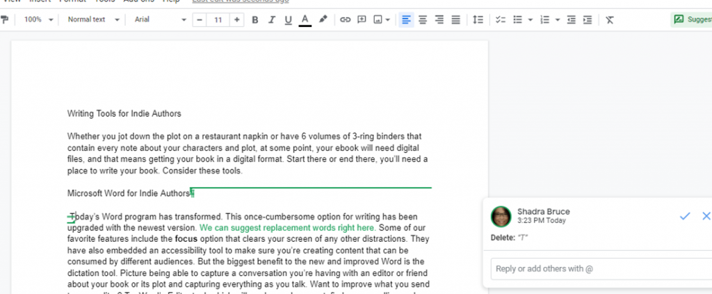 Google Docs screenshot showing comment and suggestion